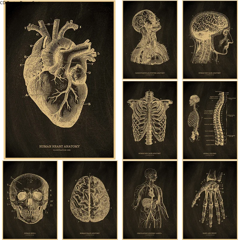 

Anatomical Skeleton Chalkboard Poster Kraft Paper Posters DIY Vintage Home Room Medicine Student Decor Medical Art Wall Painting