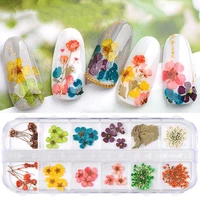 12 grid dried flower nail art rhinestones kit multicolor nail art decorations elegant beautiful dried flower women nail me