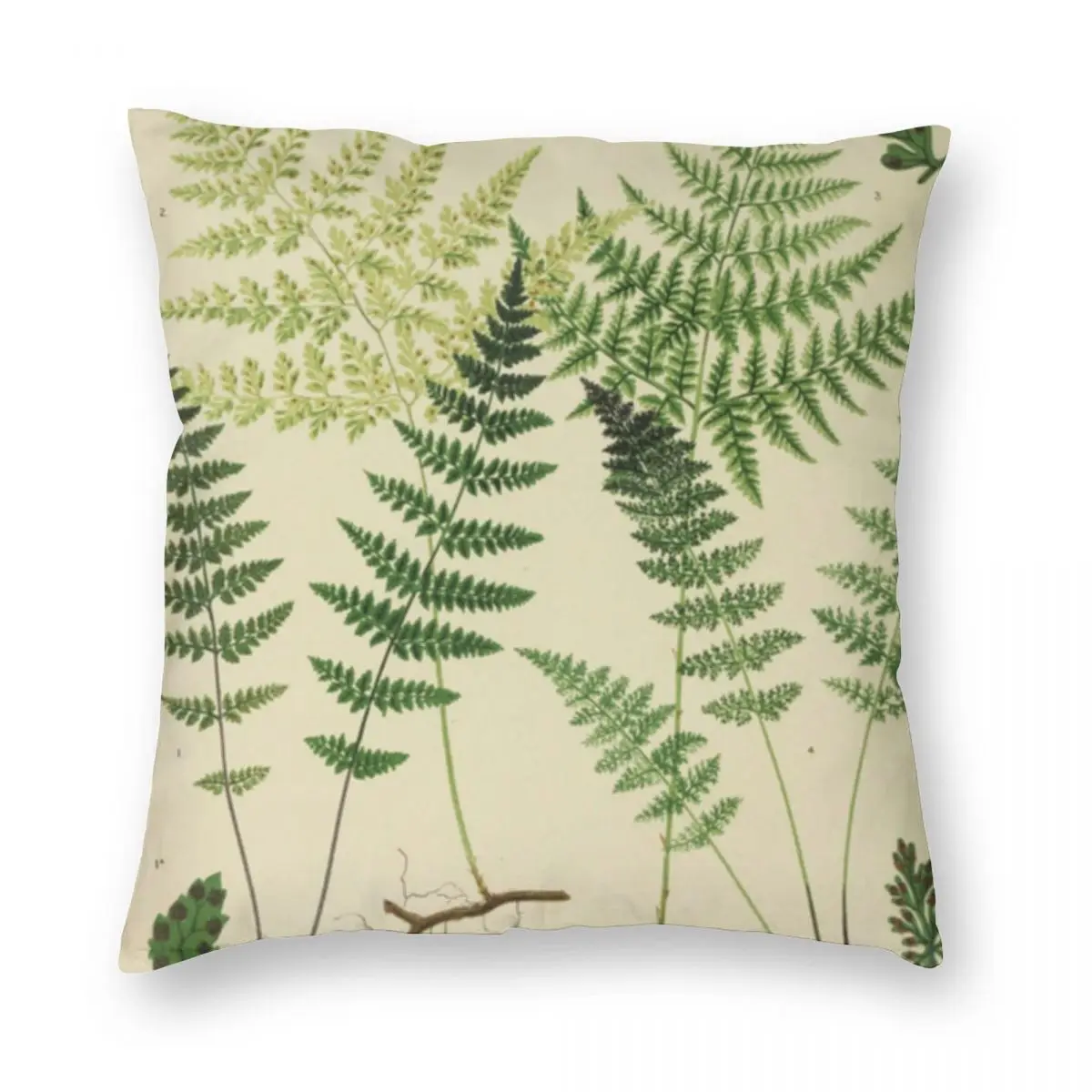 

Botanical Ferns Square Pillowcase Polyester Linen Velvet Creative Zip Decor Bed Cushion Cover