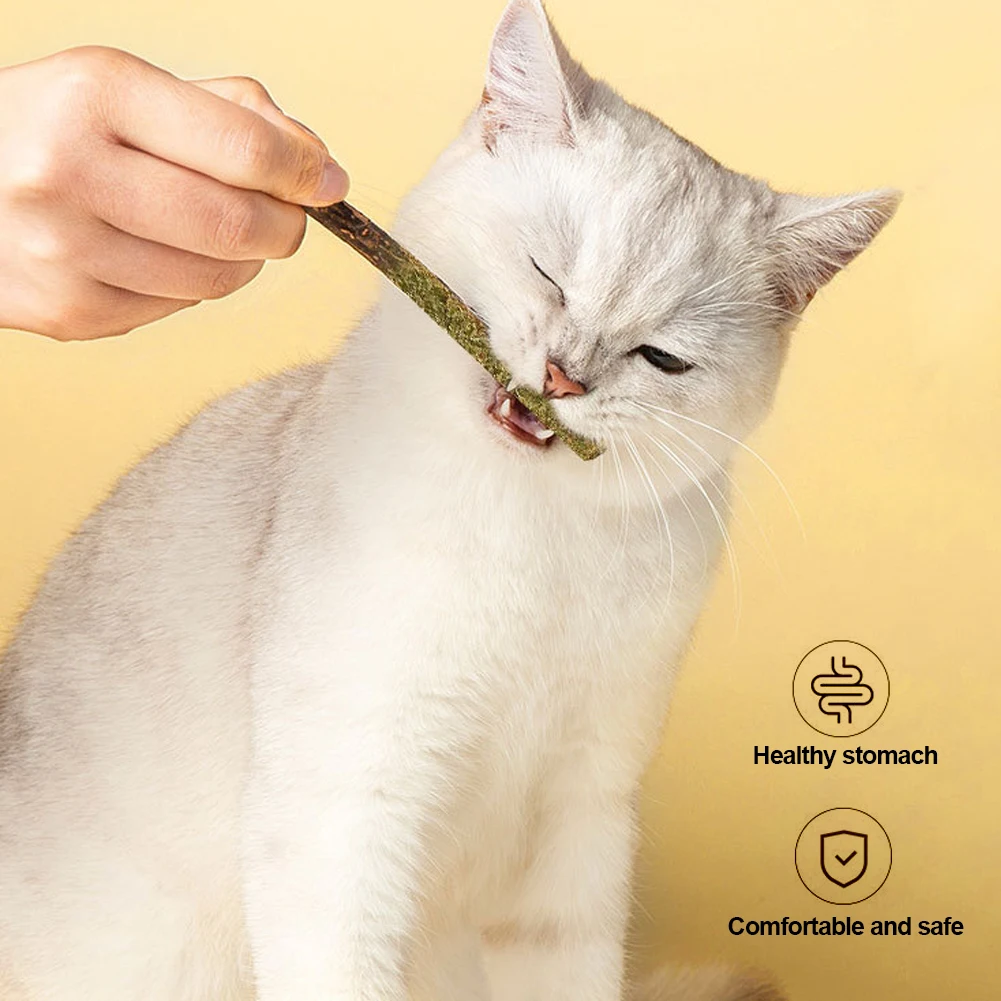 Трендовые игрушки для жевания кошачьих Trendy Cat Chew Toys 100% Natural Silvervine Catnip Sticks Kittens Teeth Cleaning Safe Stick Treat for Cats of All Ages.