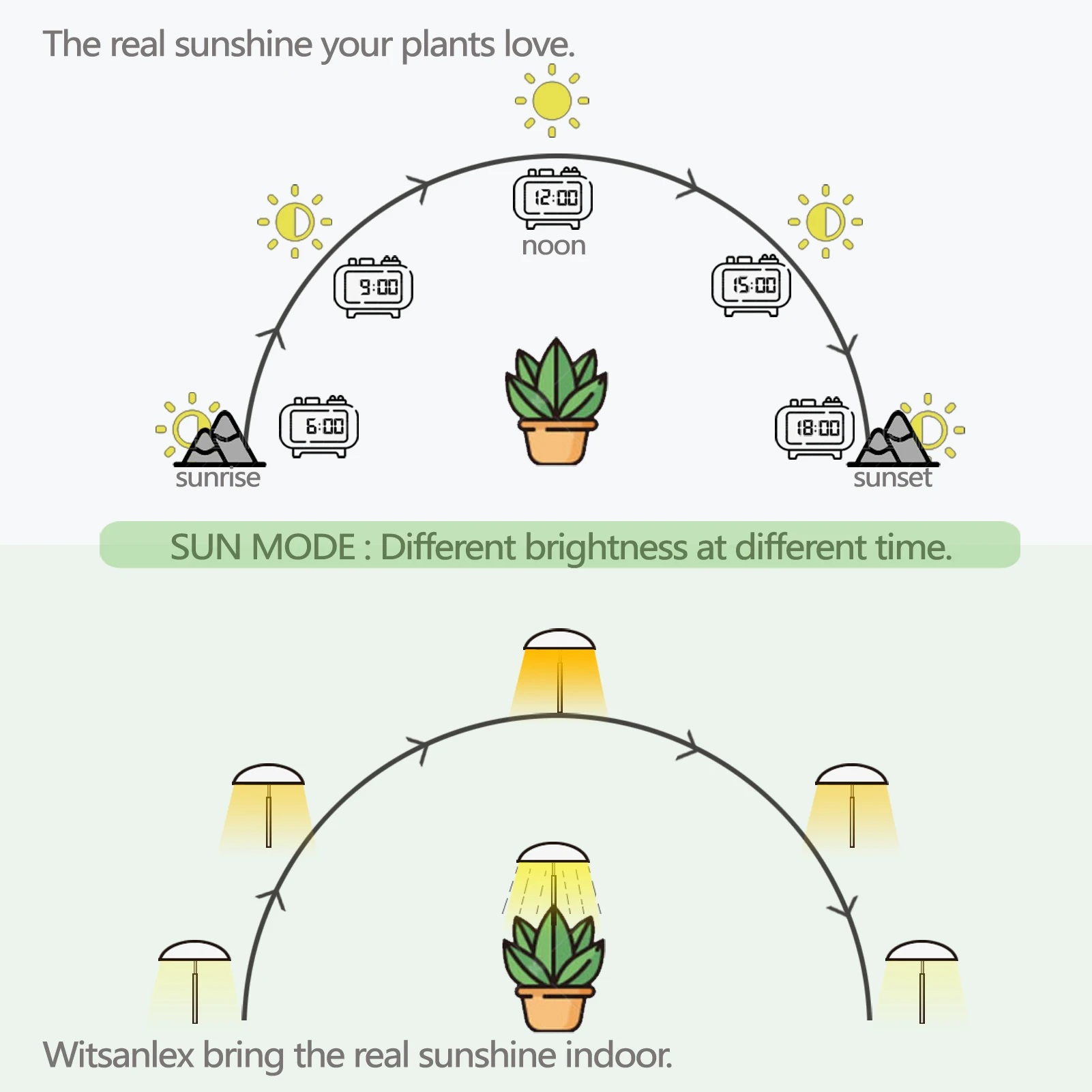 Рисунок 4 - Черные фонари для выращивания растений в помещении