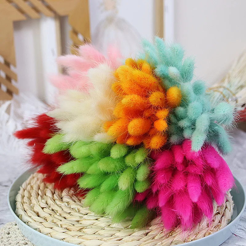 

30/50pcs Natural Dried Lagurus Pampas Grass,Rabbit Tail Flower Branch DIY Wedding Flores Arrangement Christmas Home Decoration