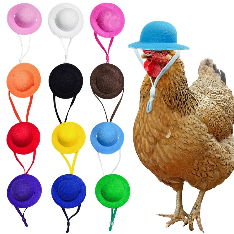 

Шапка цыпленок для кур, крошечных домашних животных, забавные аксессуары для кур, верхняя шляпа для петуха, утки, попугая, хомяка, птицы, стильный костюм