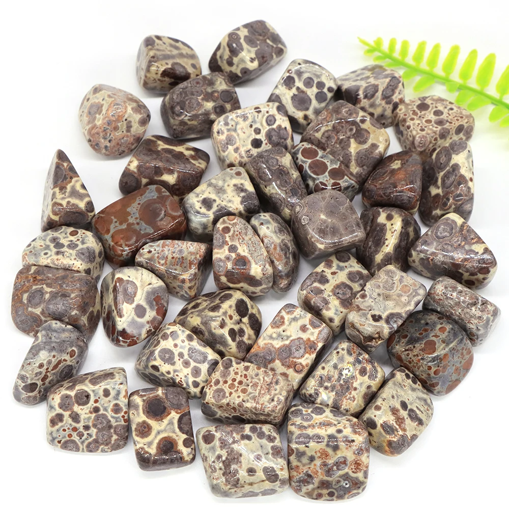 

Natural Variegated Snowflake Jasper Irregular Tumbled Stone Healing Crystal Quartz Aquarium Mineral Gemstone Home Decor Specimen