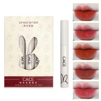 5pcsset lipstick healthy portable non stick beauty lip gloss lacquer for female velvet matte lipstick lip mud set