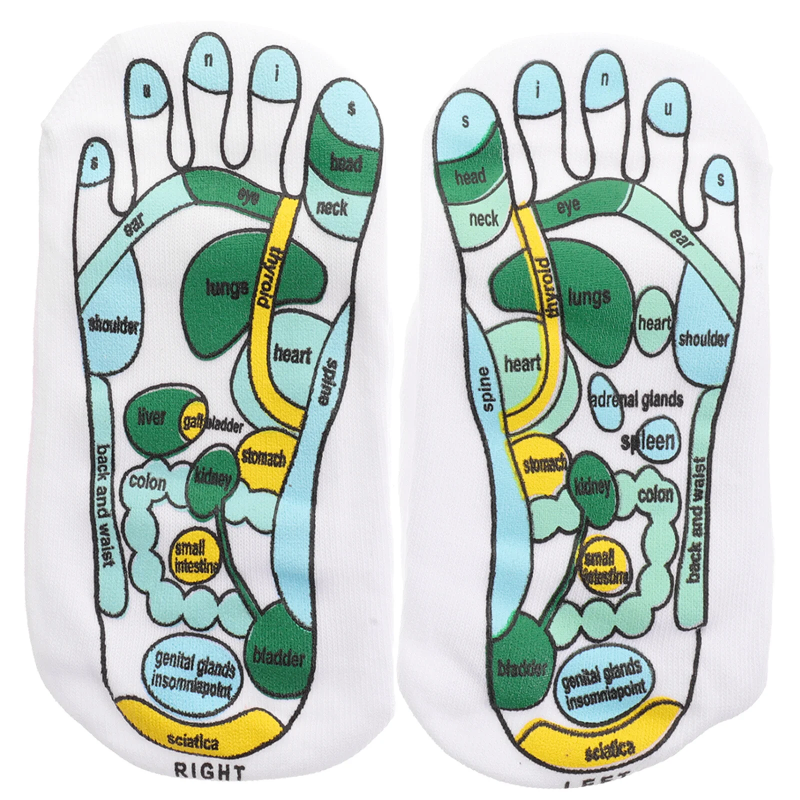 

Lady Tools Foot Socks Elastic Fiber Acupressure Reflexology 20X10CM Massaging Accupressure Spandex Acupoint Miss