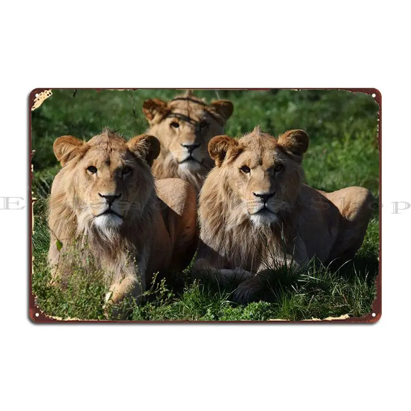 

Металлический знак со львами, Настенный декор, Настенный декор, печатная роспись, жестяной знак, плакат