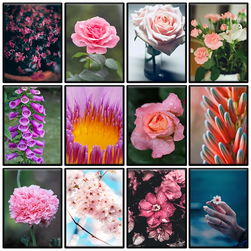 

Abstract Peony Flower Wall Art Canvas Painting Nordic Scandinavian Botanical Style Poster Print Wall Photo Living Room Decorat