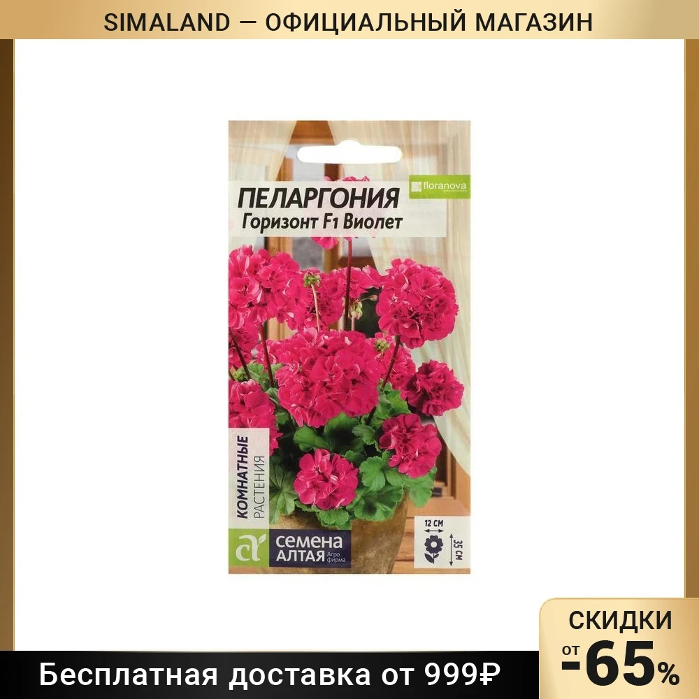 пеларгония зональная pac alice. пеларгония зональная горизонт виолет f1 3шт. пеларгония горизонт виолет. пеларгония горизонт виолет. пеларгония мультиблум f1 лавандер.