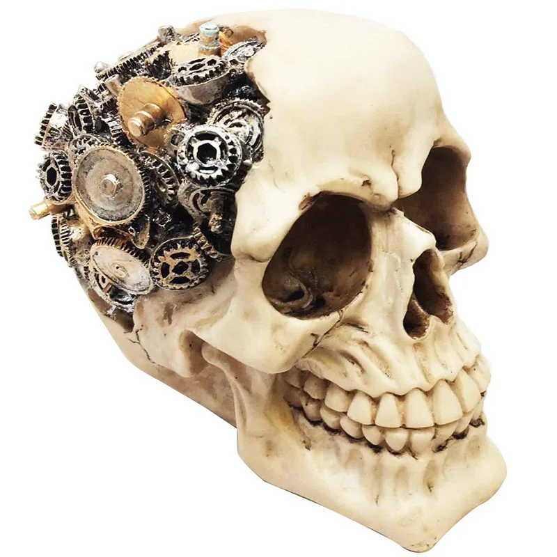 увеличение черепа. череп человека в будущем. краниоимпланты черепа. австралопитек рудольфский,. увеличение черепа.