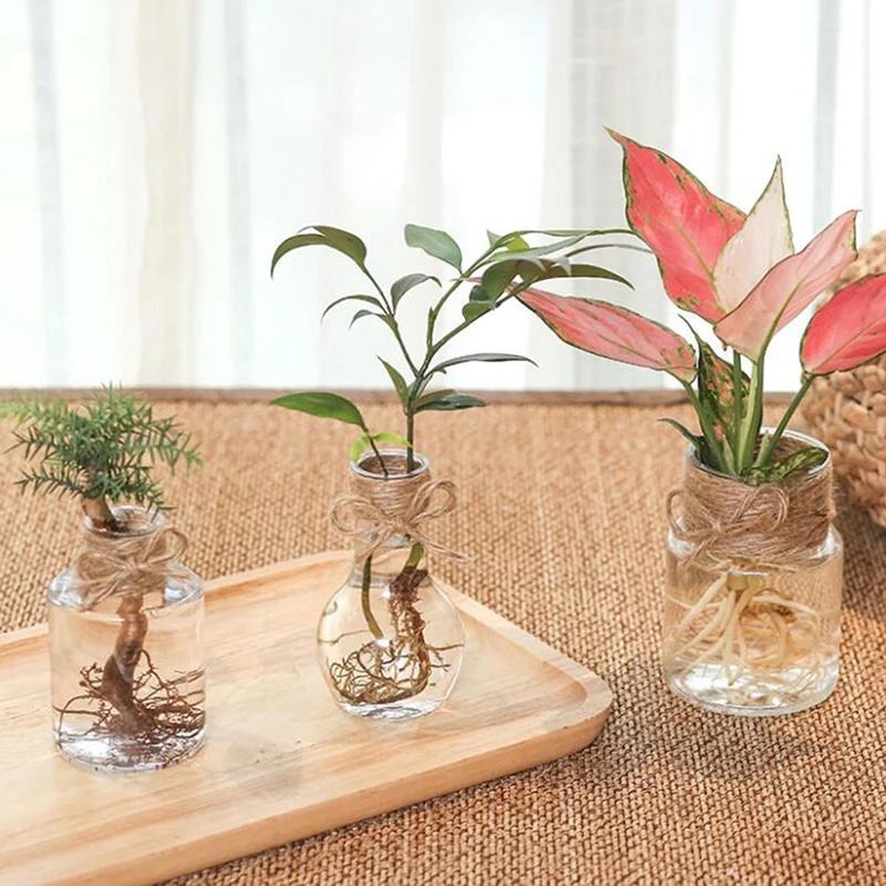 

Clear Glass Hyacinth Vase Transparent Flower Plant Bottle Pot DIY Ornaments Home Living Room Garden Decoration Desk Decors