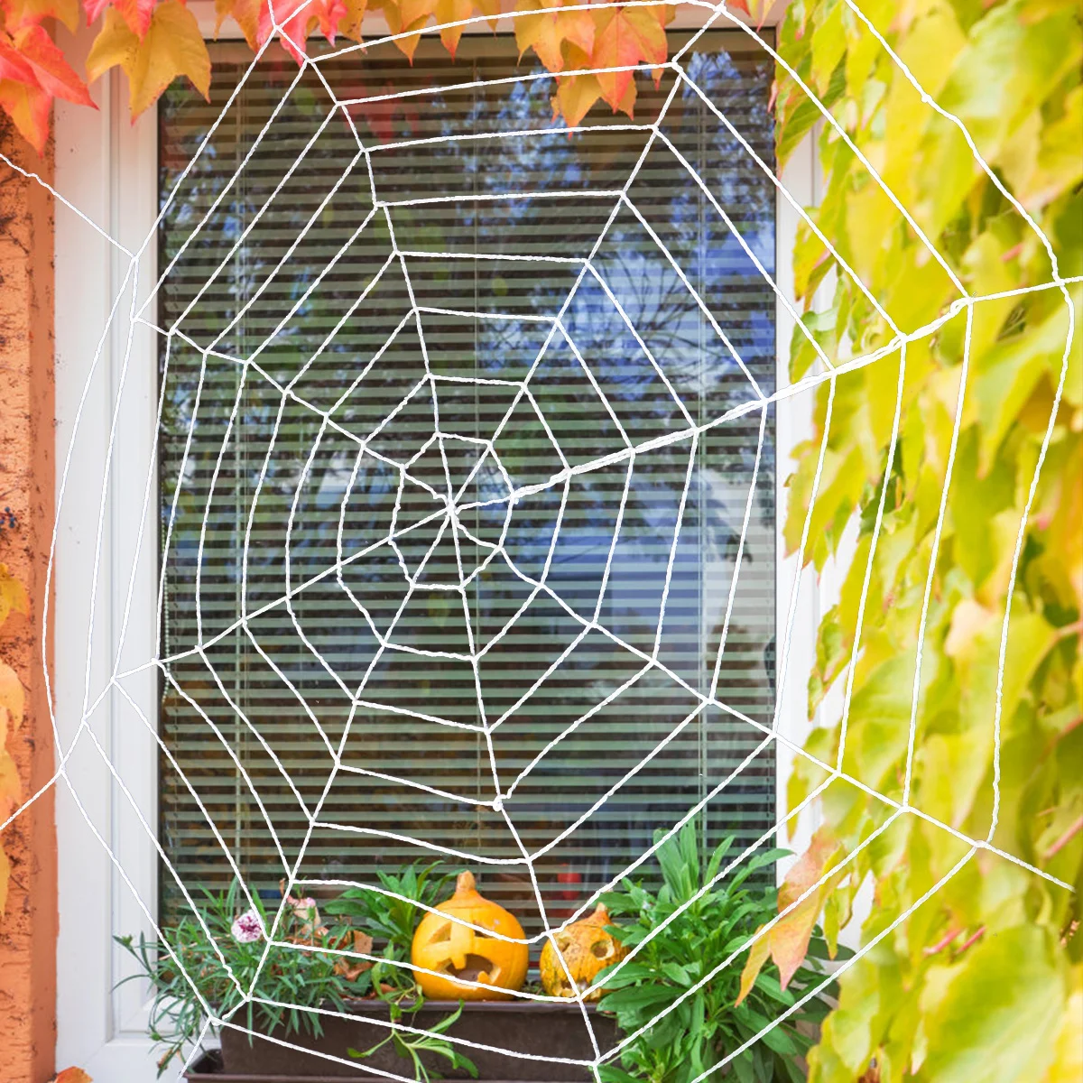 

1Pc Spider Spider Web Prop Decoration Stretch Spider Web Prop Spider Web