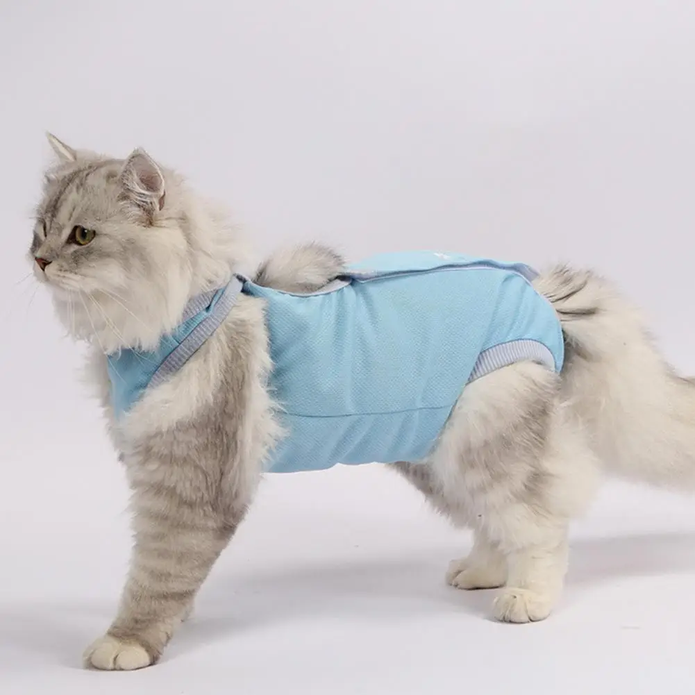 

Cat Recovery Suit Soft Soft Round Neck Cat Recovery Suit Clothing Pet Clothes Cat Clothes Pet Shirt