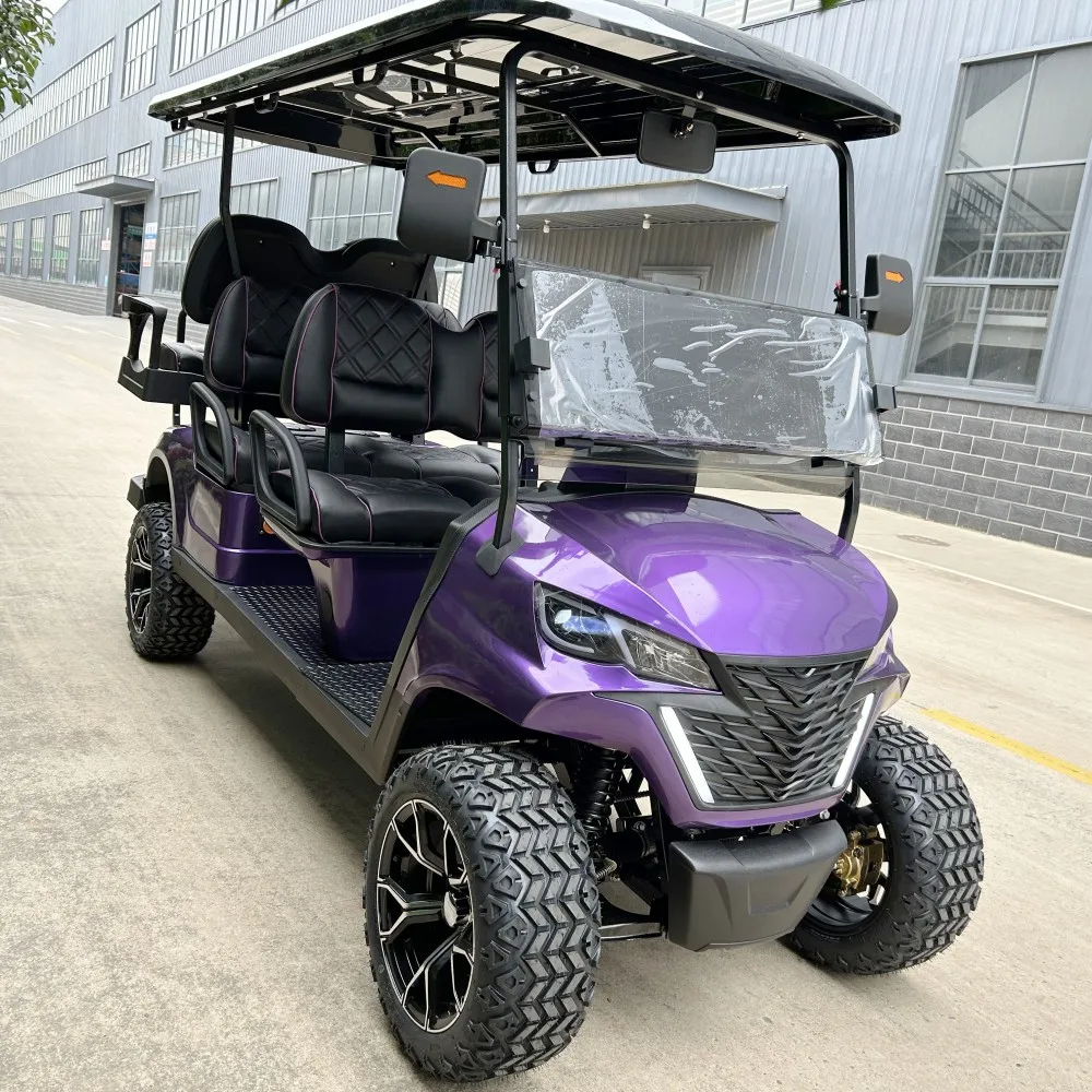 Buggy Hunting Car With Ce Dot
