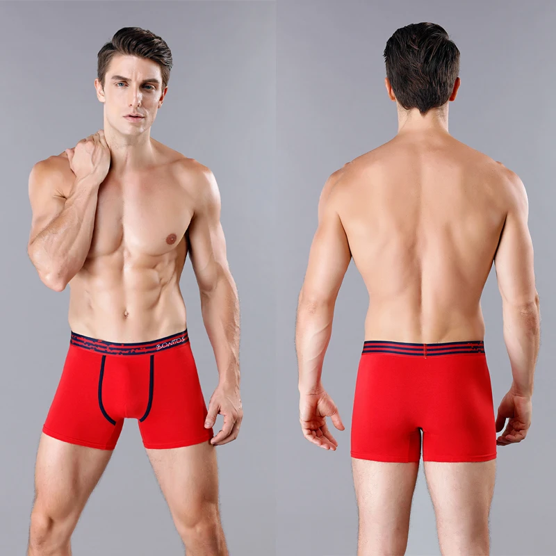 4Pcs Mens Underpants Sexy Boxers Underwear Man Cotton Men's Panties Brand Male Boxer Shorts Slip Homme Calecon