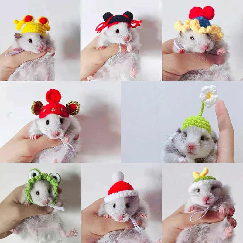 Knitted Hamster Hat Lizard Guinea Pig Tortoise Weasel Squirrel Chinchilla Ferret Hedgehogs Pet Small Animal Cosplay Outfit Suit