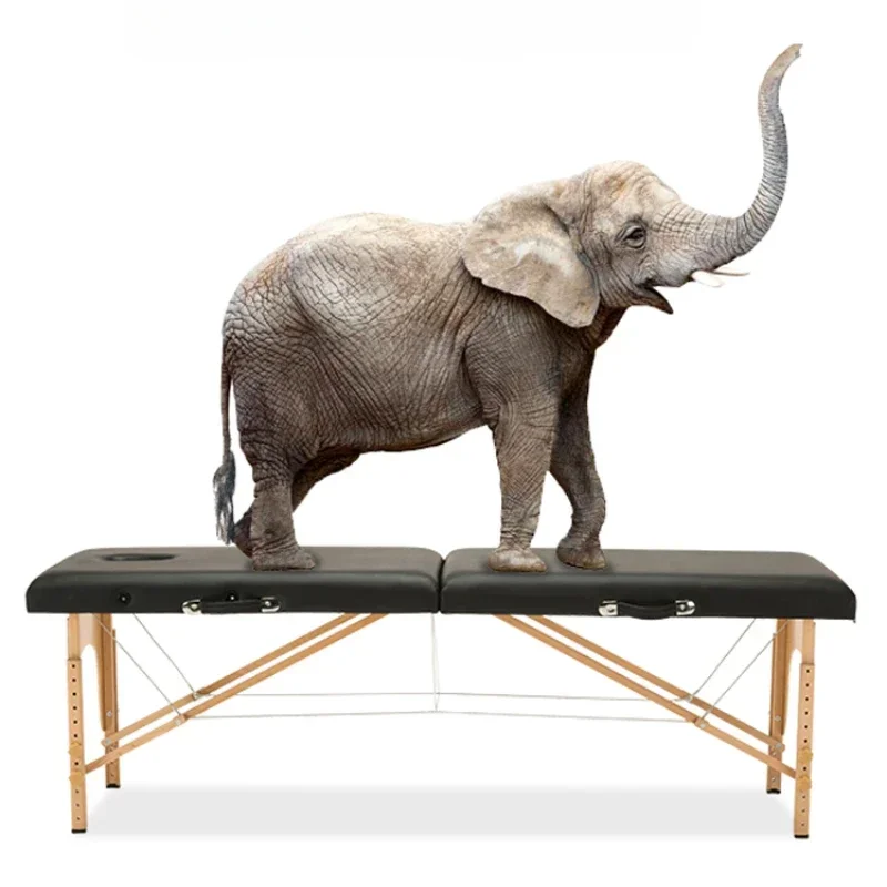 Массажные столы профессиональная мебель стол для салона красоты носилки