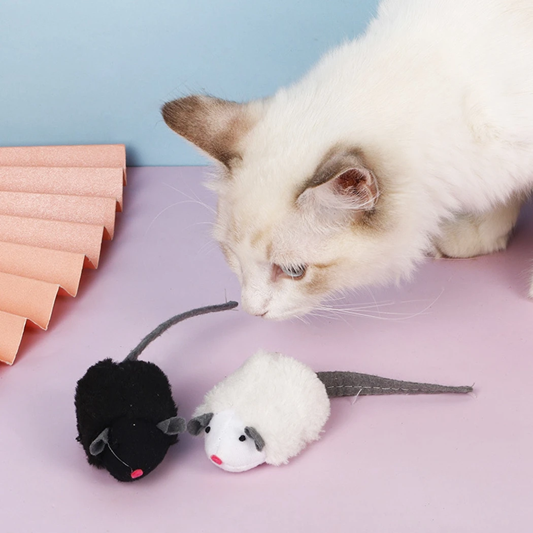 игрушки для кошек на прозрачном фоне. игрушки для кошек мышки радиоуправляемые. игрушка мышь велюровая c пищиком, 5,5см, (уп. котенок мышь штрих-код. мышка для кота слушать.