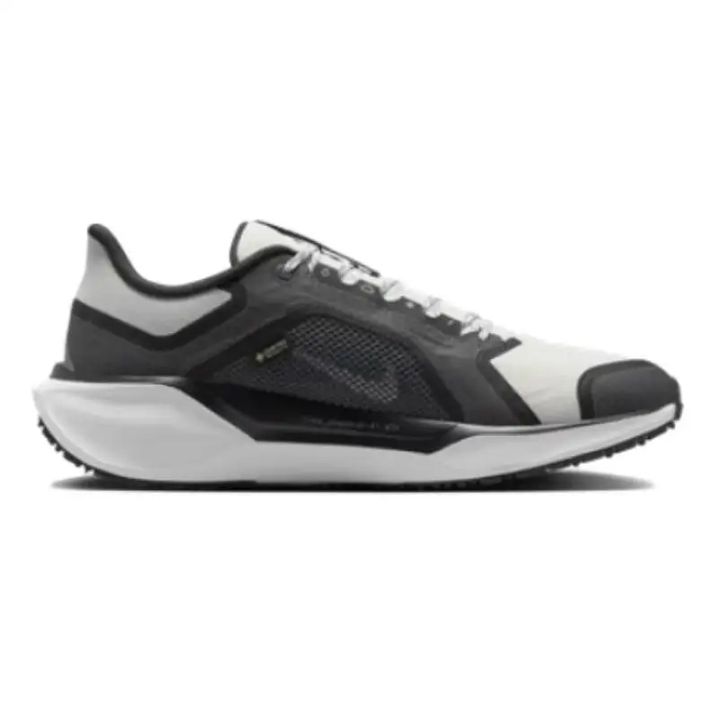 Кроссовки Nike Air Zoom Pegasus 41 Gore-Tex Black Anthracite Iron Grey Summit White FQ1356-002
