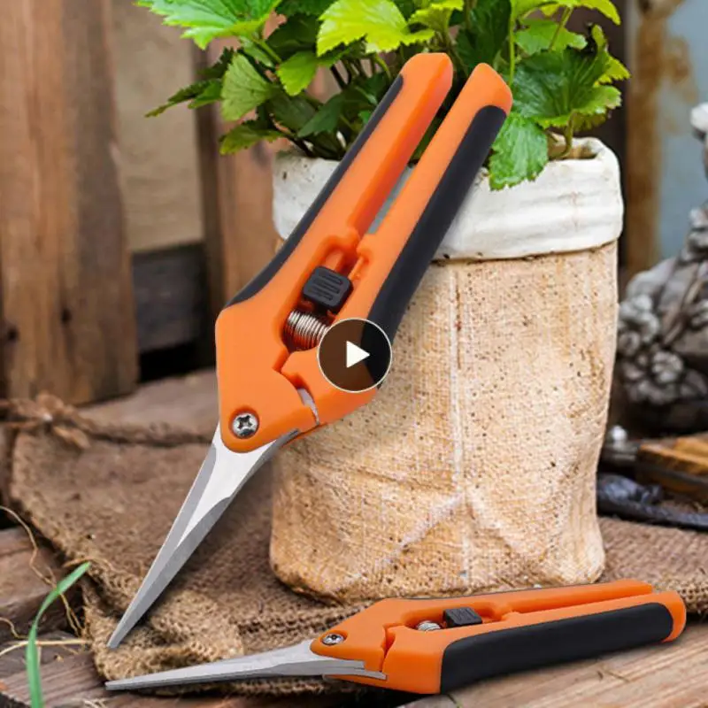 

Fruit Flower Branch Shears Multifunctional New Pruning Scissors 2023 Gardening Scissors Pruning Shears Stainless Steel