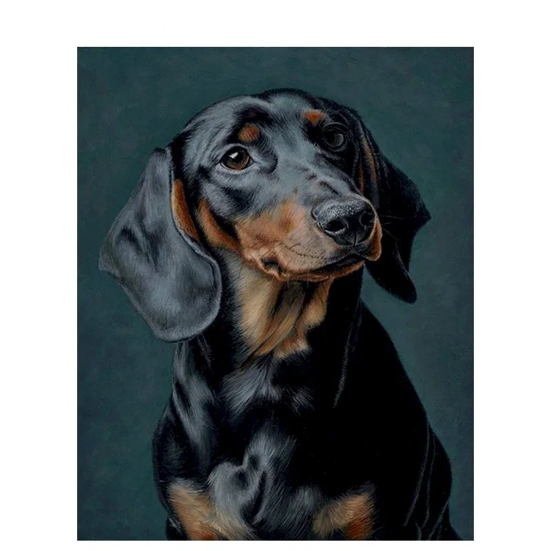 

5D Diy Diamond Painting Cross Ctitch Kits Diamond Mosaic Embroidery Dog Animals 5d Painting Square/Round Drill Gift