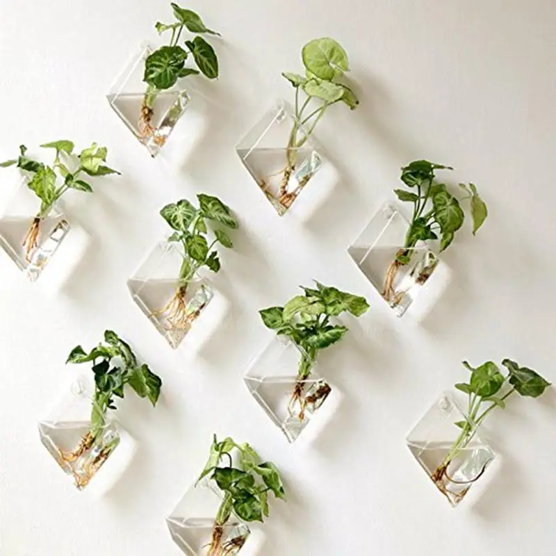 

Creative Wall-Hanging Glass Vase for Hydroponic Plants Home Office Decoration Gift