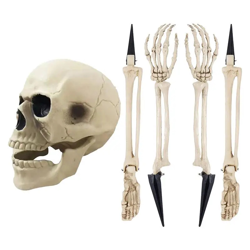 

Skeleton Garden Stake Graveyard Groundbreaker Skull And Arms Legs Realistic Skeleton Bones For Halloween Yard Stakes Outdoor