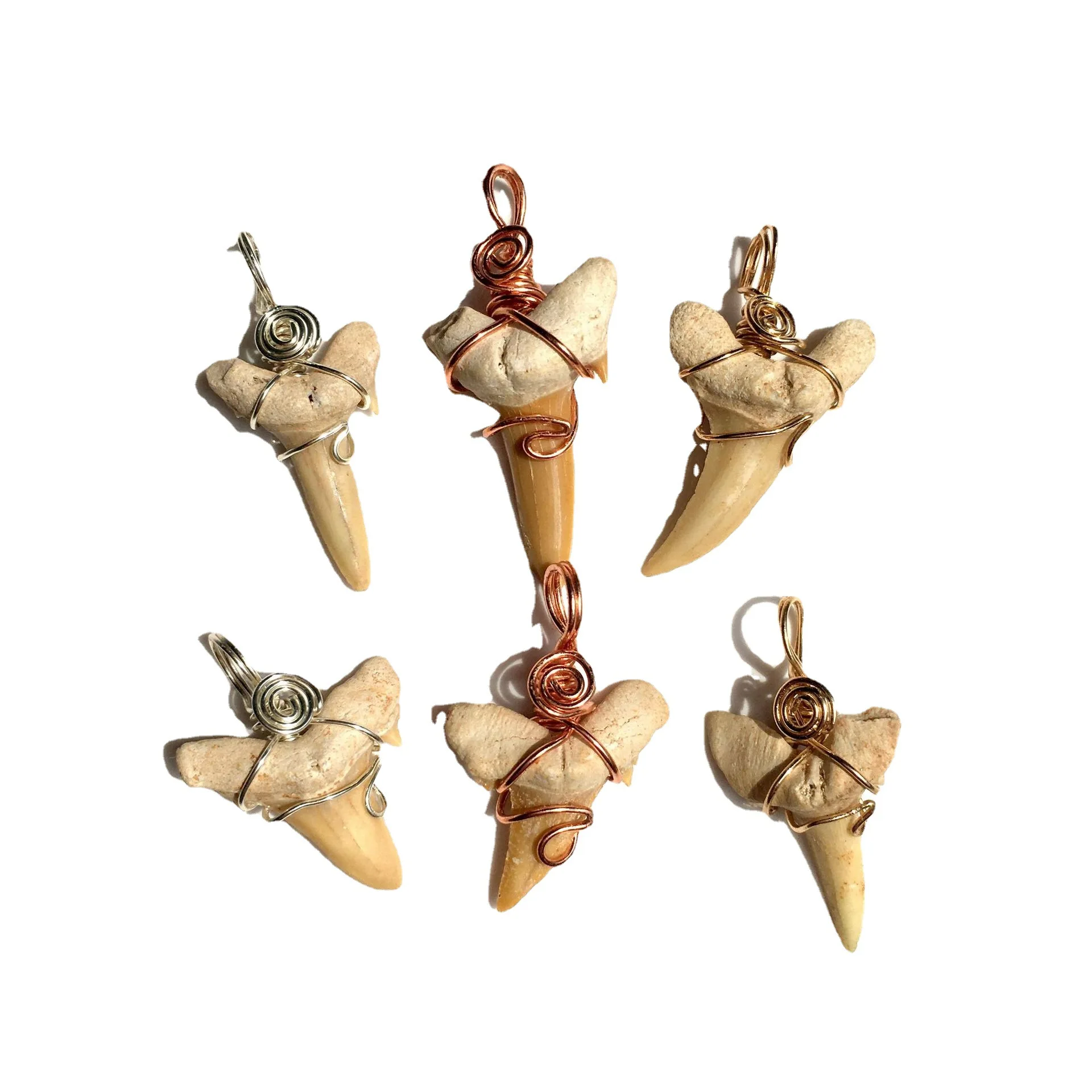

1PC Natural handicraft Handmade Shark Teeth Pendant Biofossil WoMen's Men's Jewelry Necklace Wholesale Gift