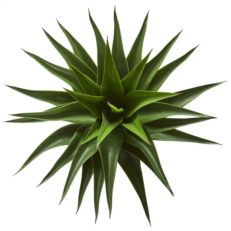 

Plastic and Polyester Agave Artificial Plant, Green