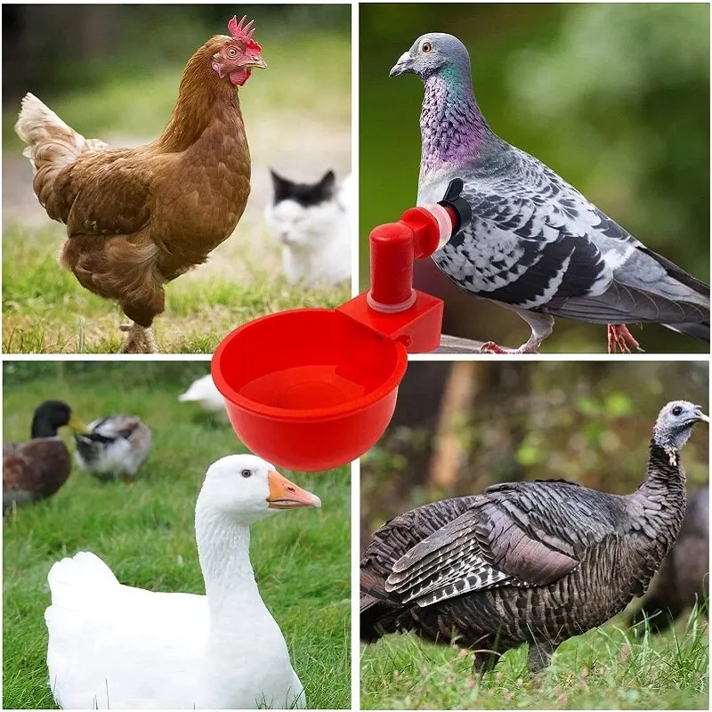 Пластиковая поилка для птиц автоматическая чашка цыплят перепелов голубей