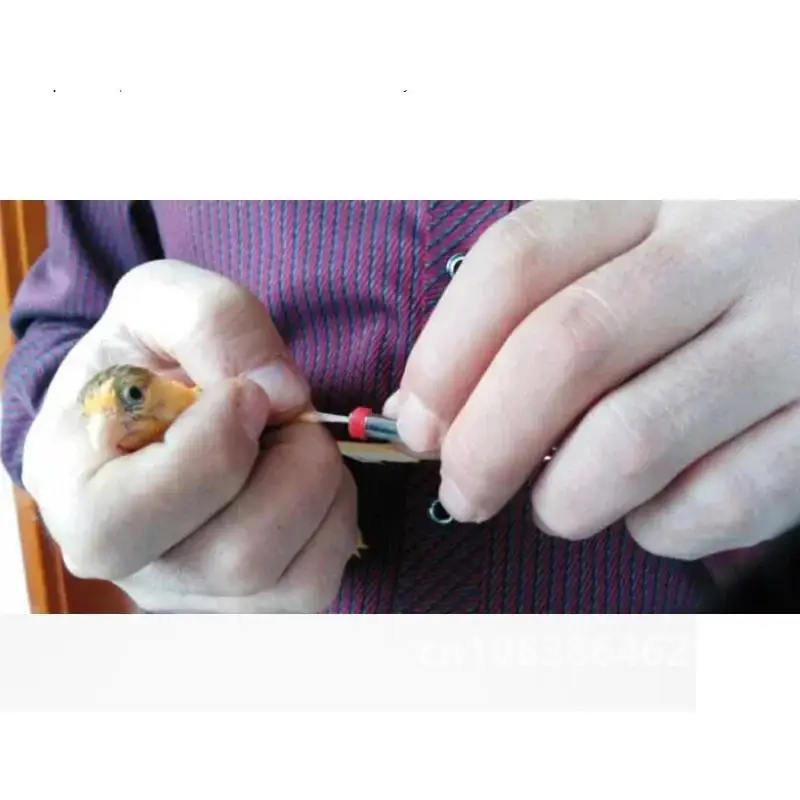 100 шт. кольца для ног птицы попугая зяблика канарейки гильдея диаметр 2 мм 3 4 птиц