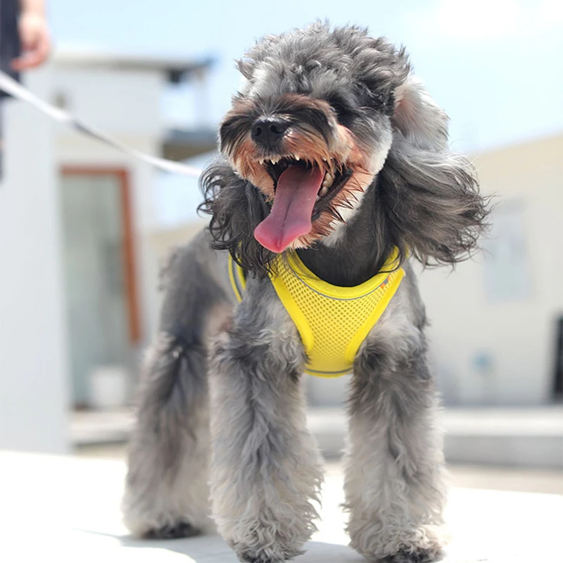 

Dog Harness for Small Dogs Cats Adjustable Reflective Pet Harness And Leash Set Breathable Pet Chest Vest Leash Dog Accessories