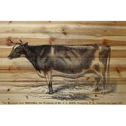 

Cow" Painting Print on Natural Pine Wood