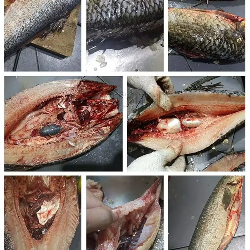 Машина для удаления рыбы и накипи машина очистки раскрытия живота