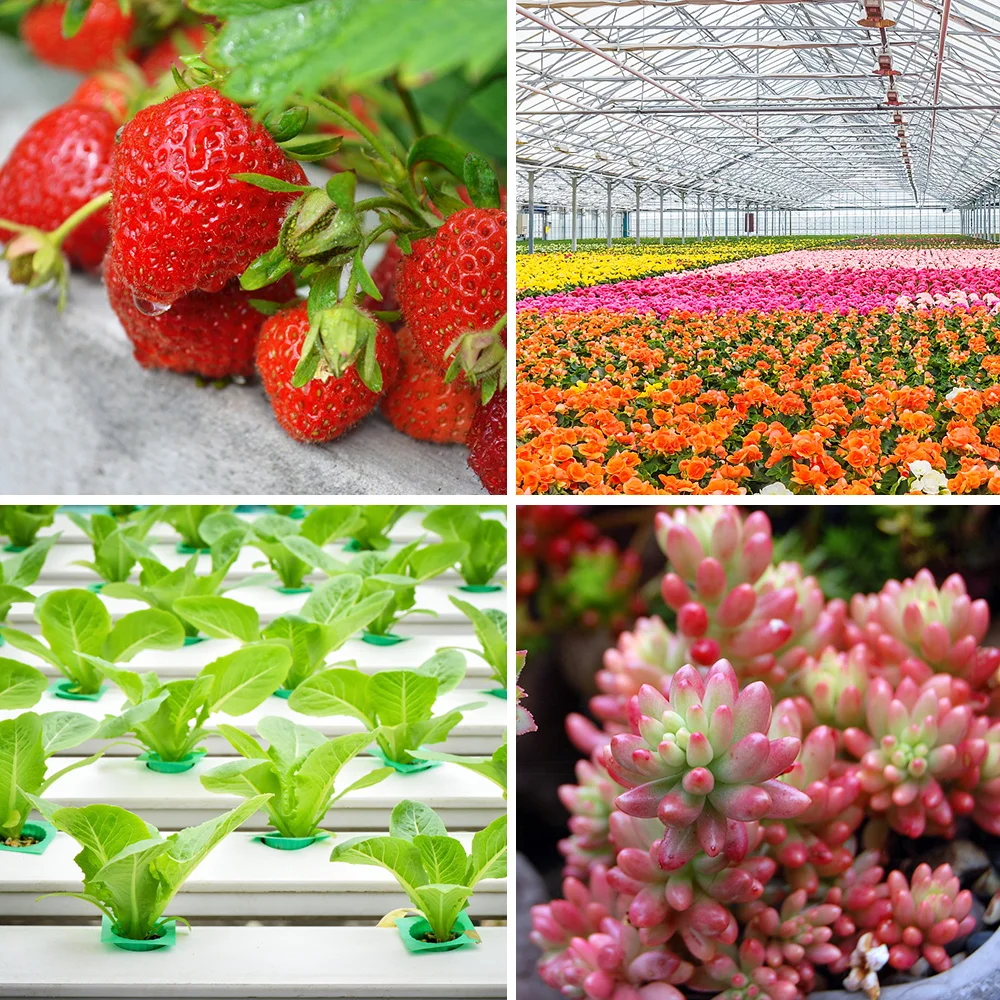 Рисунок 6 - Светодиодная фитолампа полного