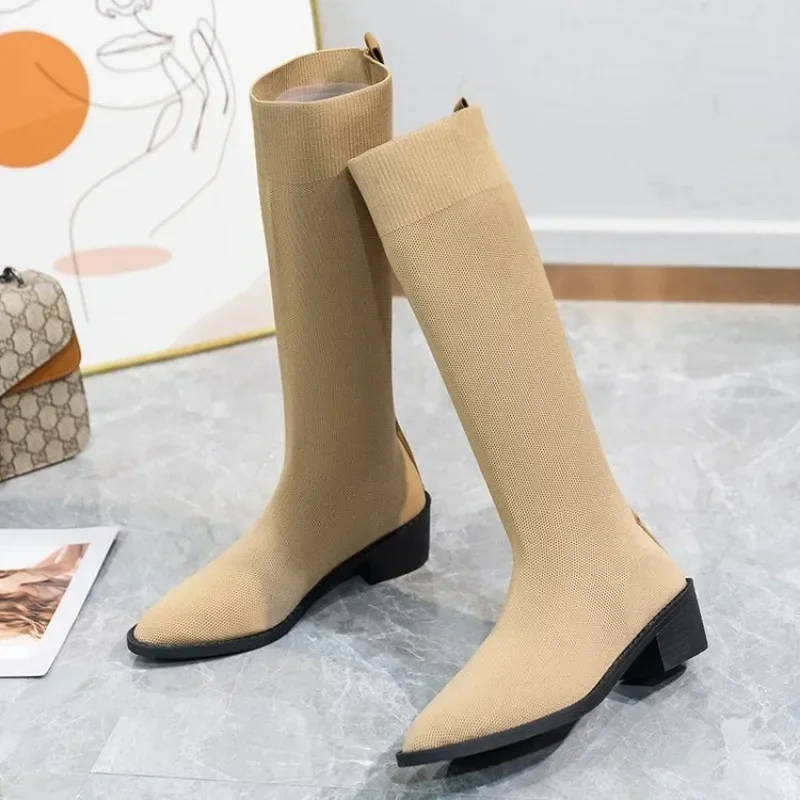 Женская модель осень-зима 2024 обувь на платформе с острым носком эластичные