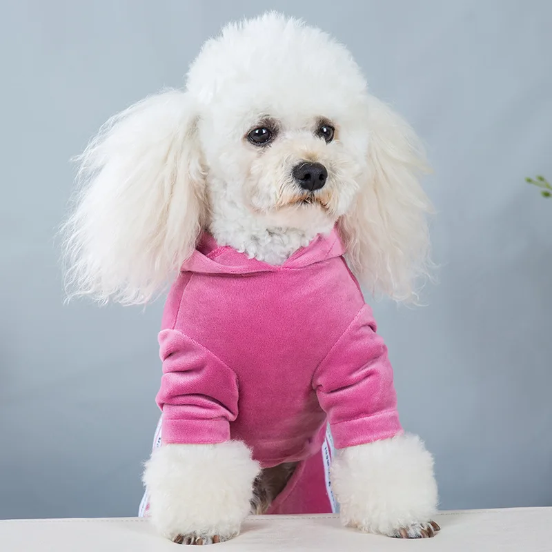 Dog Clothes For Small Dogs Sweatshirt Letter Decorate Fleece Puppy Coat Jumpsuit Outfits Yorkie Teddy Winter Warm Pet Clothing | Дом и сад
