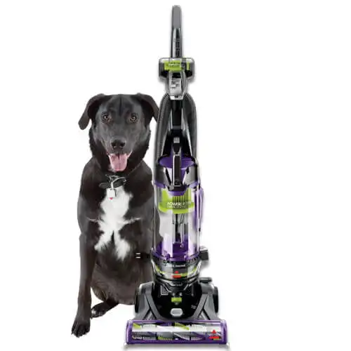 

Delivery within 7-10 daysHuanQiu Power Lifter Pet Rewind with Swivel Bagless Upright Vacuum, 2259