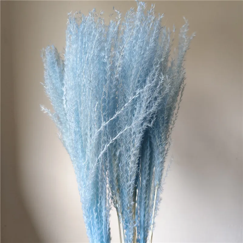 

50pcs/45cm,Natural Bulrush Grass Dried Flowers,Eternell Buddha dust mini Pampas Reed Wedding Party Home Decoration accessories