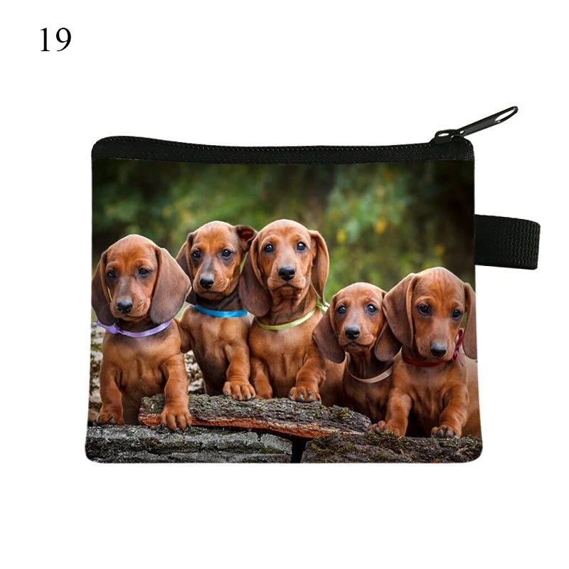 Purse Card Holder Coin Bag Wallet Storage Pouch Key Pouch Card Bag Dachshund Dog Zipper Waterproof Cute Portable Personalized