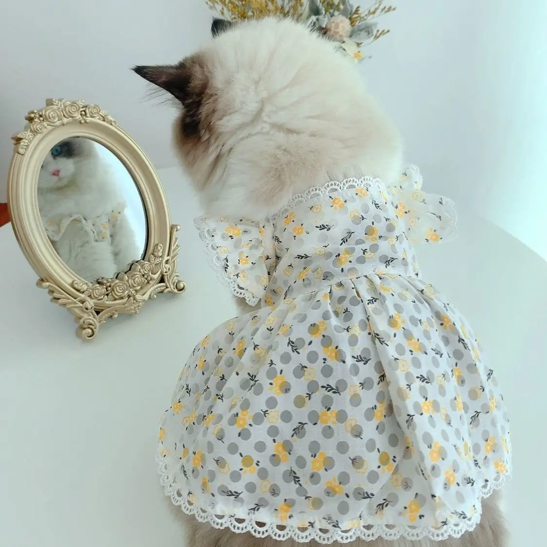 

Цветочное платье, одежда для собак, одежда для маленьких собак, одежда для кошек, летнее платье, юбка, товары для йоркширских терьеров, товар...