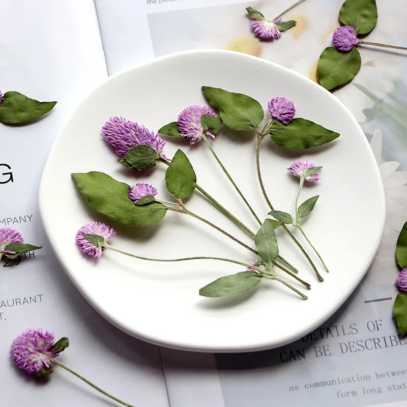 6-15 см/12 шт. натуральная прессованная Цветочная ветка гомфрены DIY тисненый клей