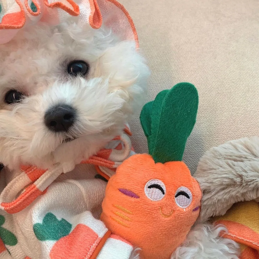 

Ins Fruit Series Carrot Food Hide Pet Chew Molar Bite Fleece Sounding Paper Cute Dog Squeaky Toy Pet Accessories Interactive Toy