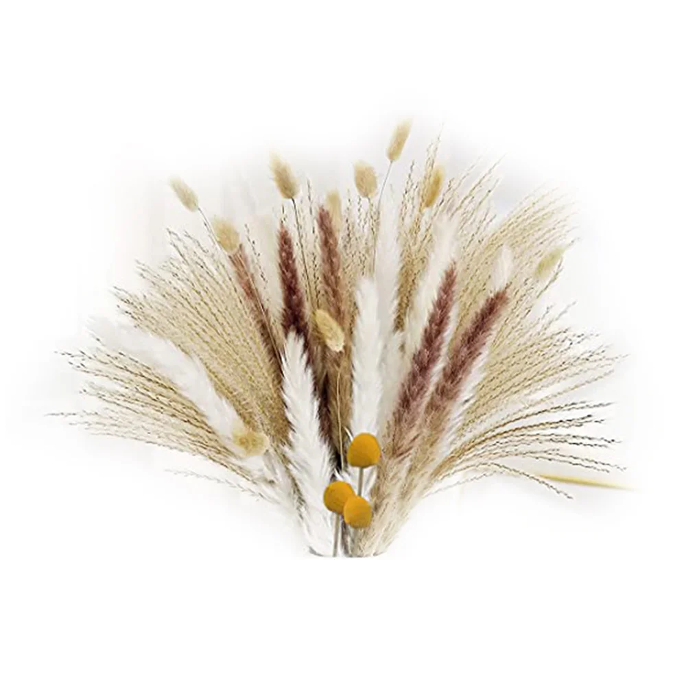 

63 шт. натуральный папирус, фотосессия 17 дюймов, подходит для гостиной, балкона, свадебной вечеринки