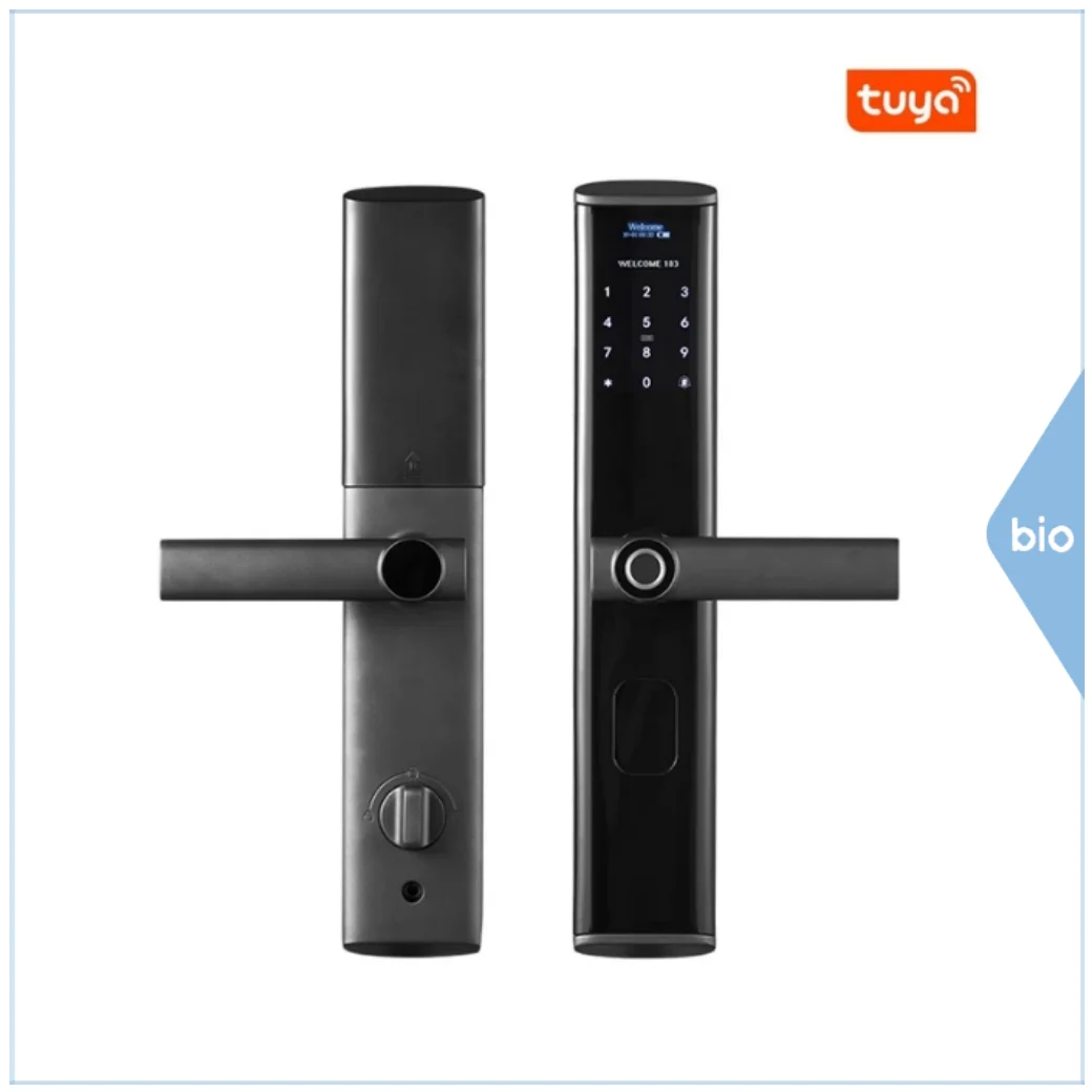 

Fingerprint Door Lock Open Anti-theft Intelligent Apartment Home Stay Graffiti Tuya Smart Password Electronic Wooden Auto Lock