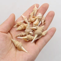 100g diy shell beads natural conch shell loose bead for jewelry making diy necklace bracelet clothes accessory