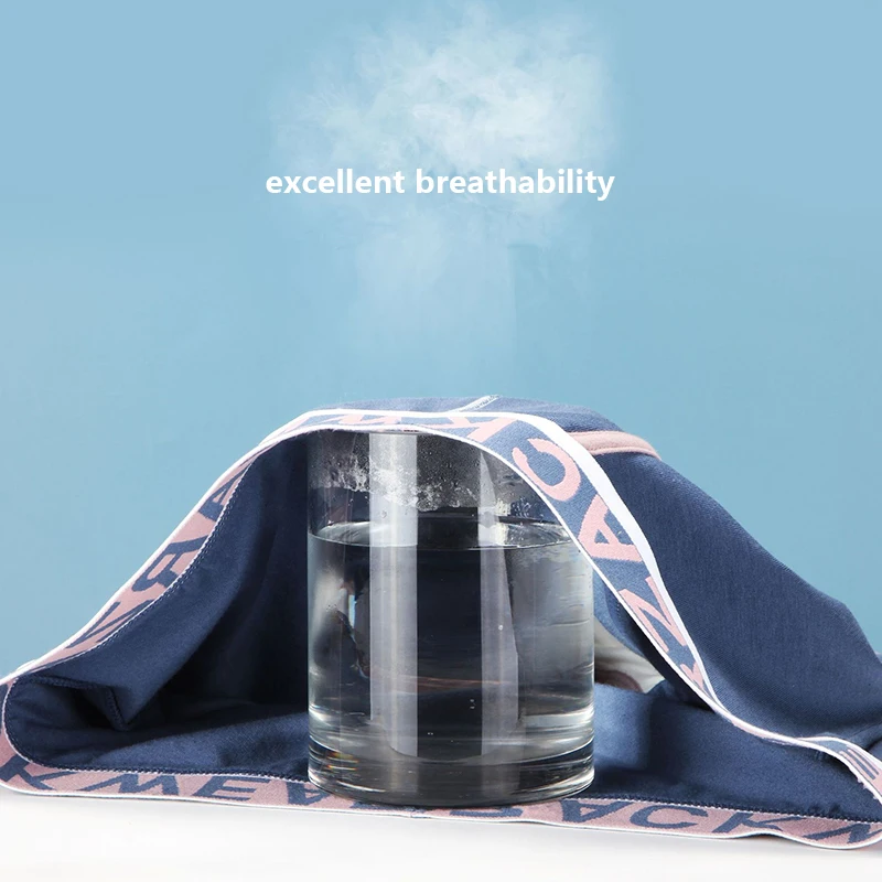 4pcs Sexy Men Boxer Shorts Pure Cotton Underpants Antibacterial Underwear Boxers Hombre Men's Panties Sexy Lingeries Cuecas