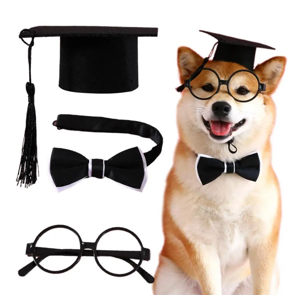 

Cat Graduation Costume 1 Set Lovely with Tassel Reusable Dog Cat Hat Collar Glasses Set Pet Cosplay Suit Pet Supplies