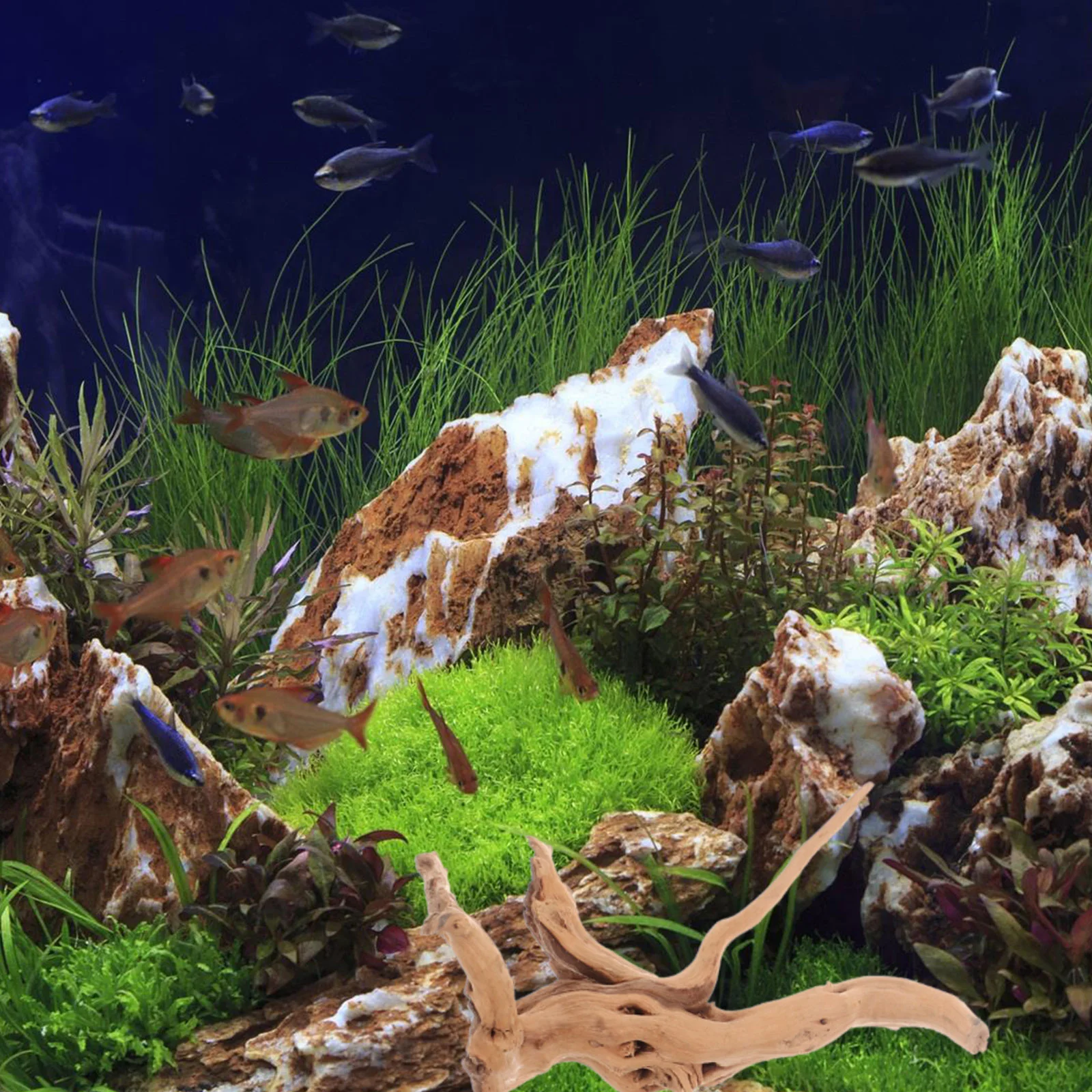 3 Pcs Landscaping Sunken Wood Driftwood Plant Aquariums Fish Tank Decoration Trunk Goods Artificial Glass Stones