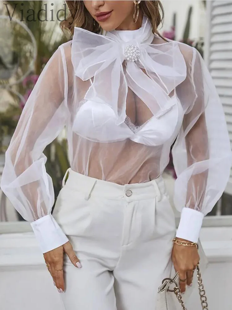 

Women Sexy Sheer Organza Lantern Sleeve Bowknot Tie Neck Blouse